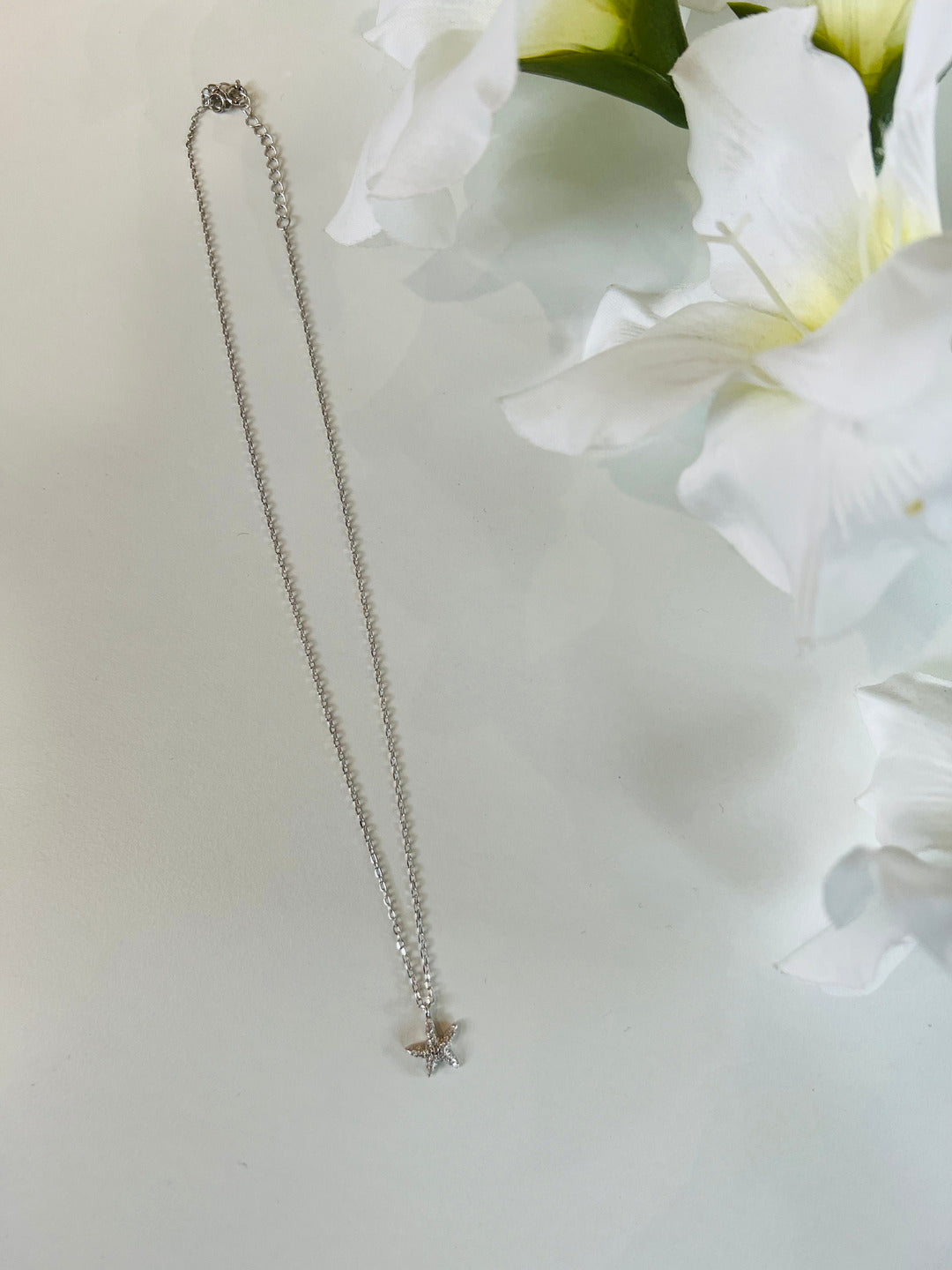 Collana con ciondolo a forma di stella con brillantini. Argento 925.