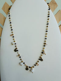 lavaligiapoiscollanaice