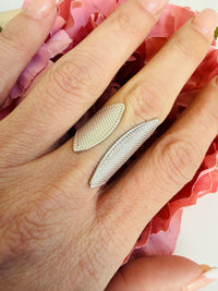 lavaligiaapoisanelloscudo