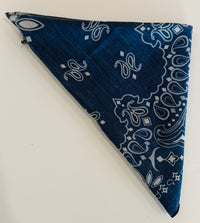 Bandana Gipsy