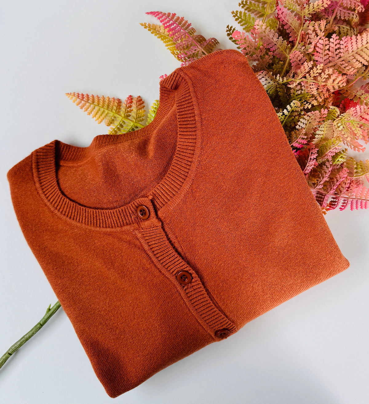 LVP cardigan basic scollo tondo