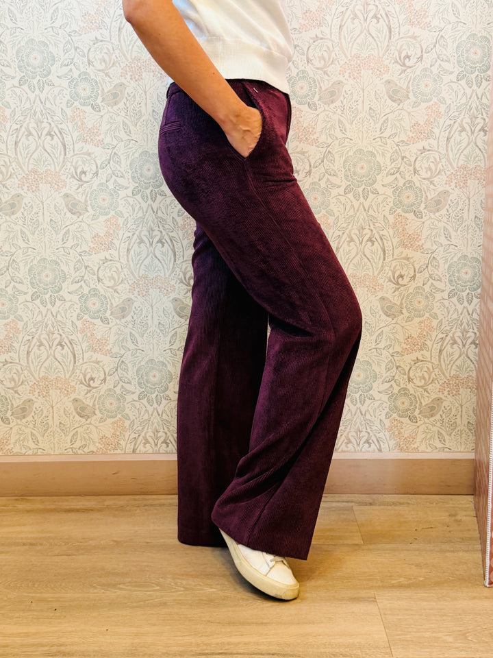 Pantalone Velvet Prugna